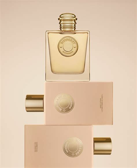 burberry goddess lotion macy's.